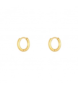 Goudkleurige kleine oorringetjes