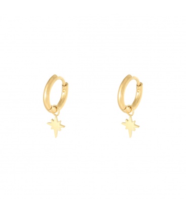 Goudkleurige oorbellen met bedel