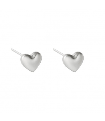 Zilverkleurige hartvormige oorknopjes