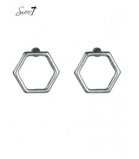 Zilverkleurige 6 hoekige oorbellen 