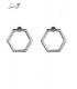 Zilverkleurige 6 hoekige oorbellen 