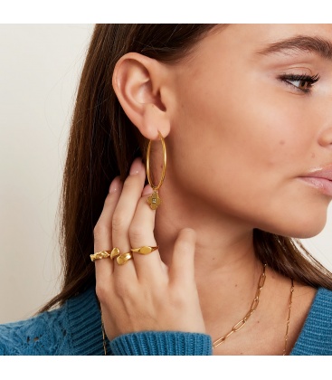 Zilverkleurige zegelring (15)