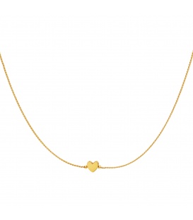 Goudkleurige halsketting met een hartkraal