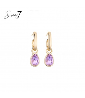 Oorbellen met goudkleurige ring met een paarse hanger